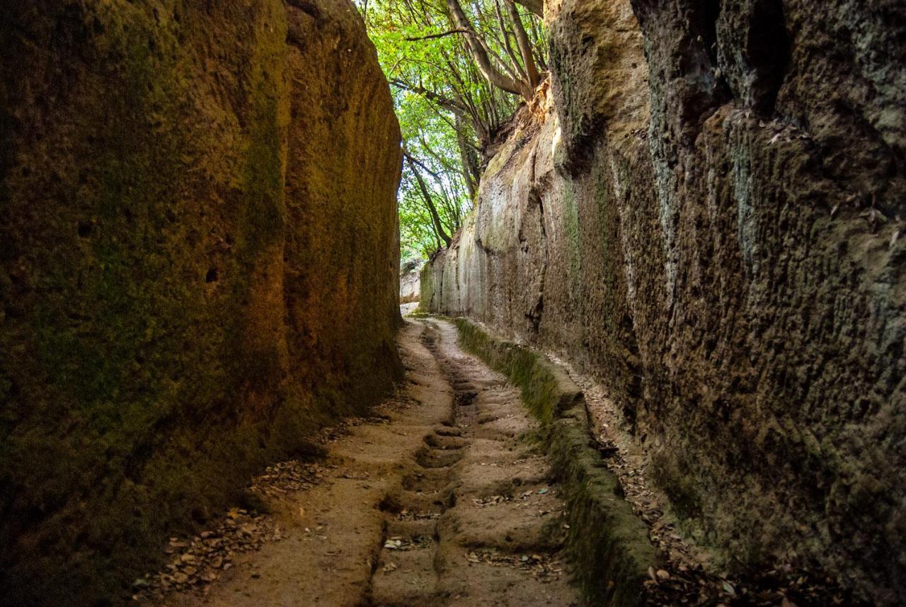 فيلا La Toscana In Casa سورانو المظهر الخارجي الصورة
